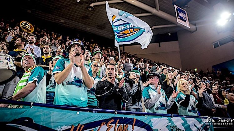 BALLE ORANGE – L’Elan Béarnais en démonstration. Basket Landes à Galatasaray